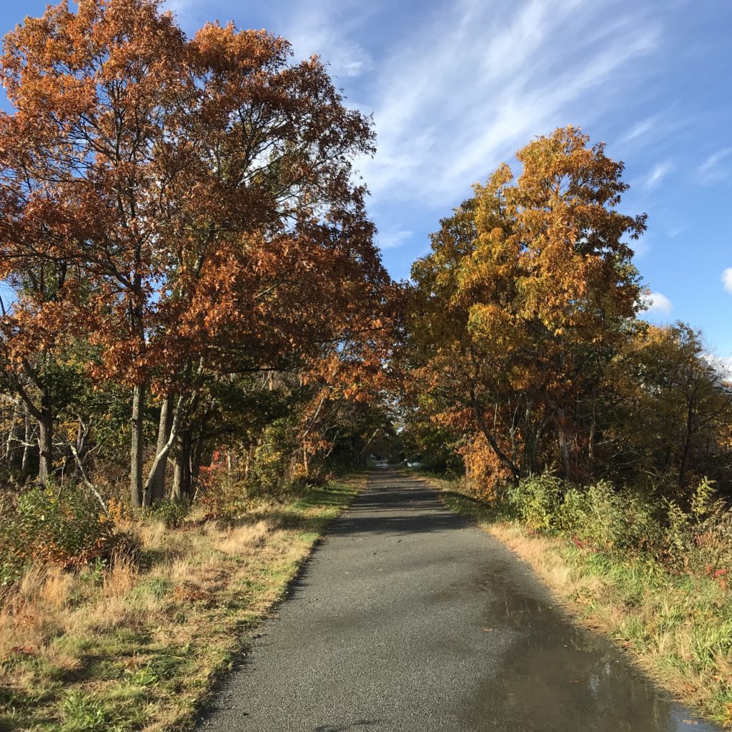 new plymouth cycle trails