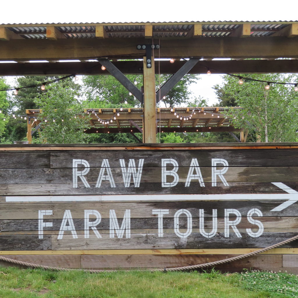 Albums 97+ Images the raw bar at island creek oyster farm photos Sharp