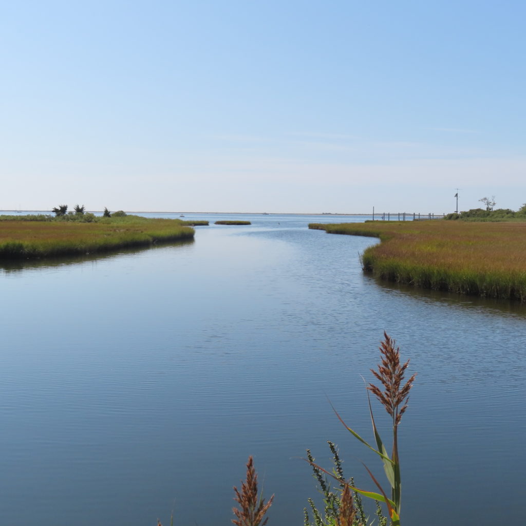 Barn Island Wildlife Management Area - Backyard Road Trips