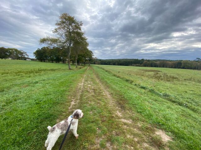 Home - Backyard Road Trips